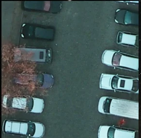 RGB input · aerial